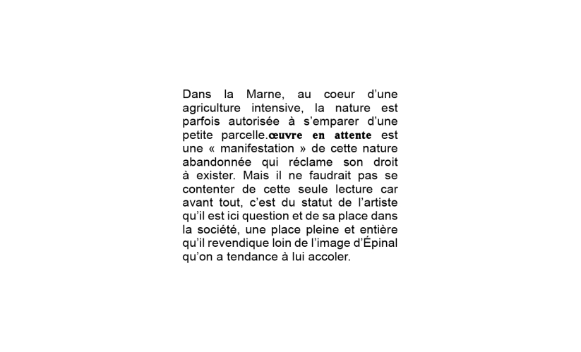 https://www.juliefreichel.fr/files/gimgs/th-30_texteoeuvreenattente.jpg